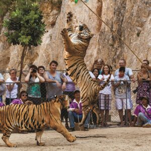 Holidays in Thailand – Phuket & Bangkok | 8 Days Full of Adventure and Relaxation